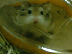 Thumbnail of post image 152