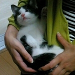 Thumbnail of post image 011