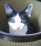 Thumbnail of post image 088