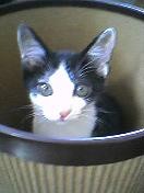 Thumbnail of post image 092