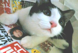 Thumbnail of post image 127
