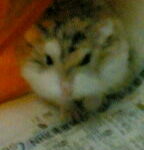 Thumbnail of post image 052