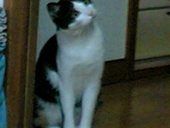 Thumbnail of post image 040