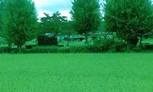 Thumbnail of post image 093
