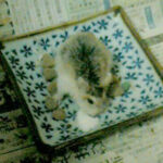 Thumbnail of post image 168