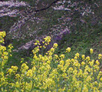 Thumbnail of post image 060