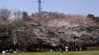 Thumbnail of post image 013