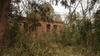 Thumbnail of post image 160