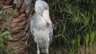 Thumbnail of post image 037