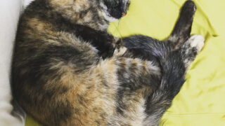 Thumbnail of post image 134