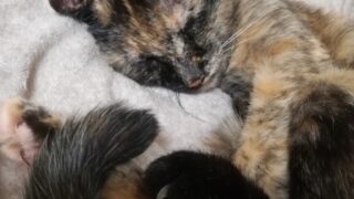 Thumbnail of post image 106