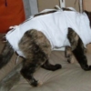Thumbnail of related posts 117