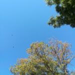 Thumbnail of post image 152