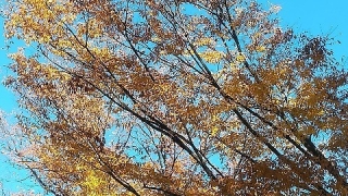 Thumbnail of post image 144