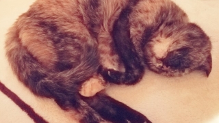 Thumbnail of post image 118