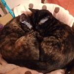 Thumbnail of post image 027