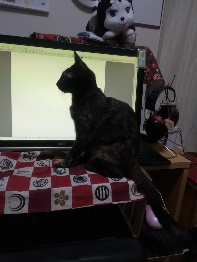 どうしても猫がキーボードに乗りたがるので仕方なくキーボードガードを自作した 近況報告の歌 どうしても猫がキーボードに乗りたがるので仕方なくキーボードガードを自作した 近況報告の歌