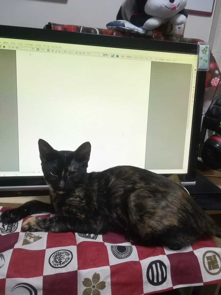 どうしても猫がキーボードに乗りたがるので仕方なくキーボードガードを自作した 近況報告の歌 どうしても猫がキーボードに乗りたがるので仕方なくキーボードガードを自作した 近況報告の歌