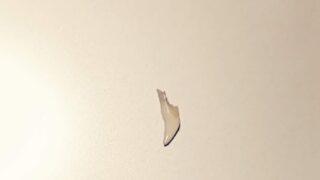Thumbnail of post image 161