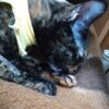 Thumbnail of related posts 078