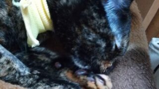 Thumbnail of post image 067