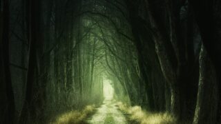 Thumbnail of post image 087