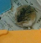 Thumbnail of post image 145
