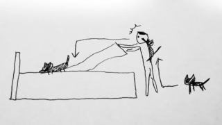 Thumbnail of post image 091