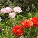 Thumbnail of post image 032