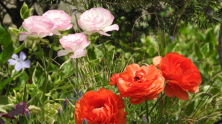 Thumbnail of new posts 069