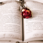 Thumbnail of post image 137