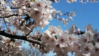 Thumbnail of post image 147