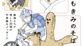 Thumbnail of post image 034