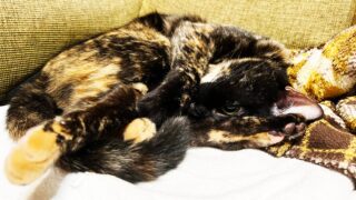 Thumbnail of post image 004