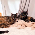 Thumbnail of post image 021