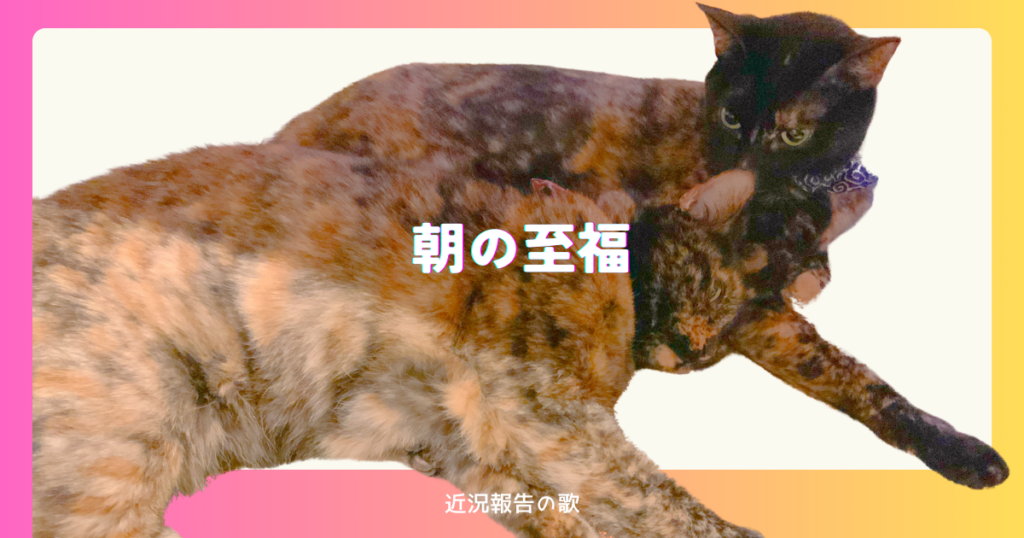 Thumbnail of post image 146