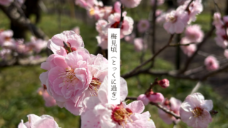 Thumbnail of new posts 071