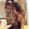 Thumbnail of related posts 084