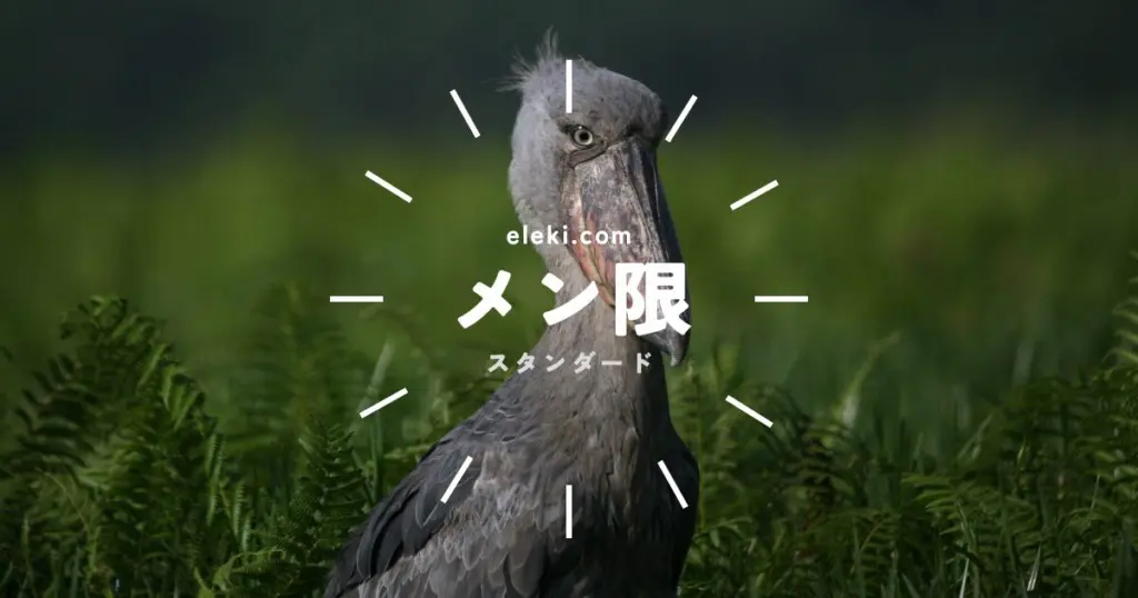 メンバー限定コンテンツについて
